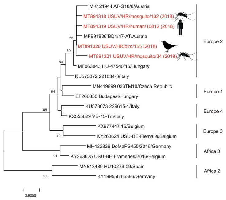 Figure 4