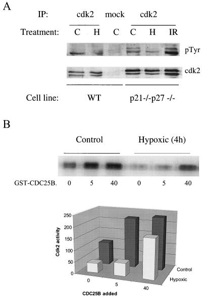 FIG. 7