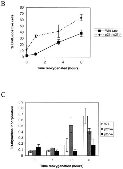 FIG. 8