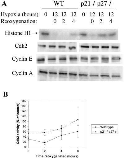 FIG. 10