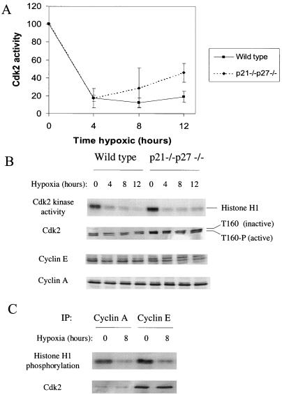 FIG. 6