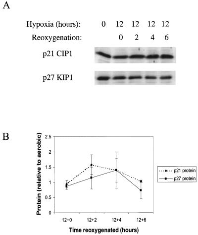 FIG. 9