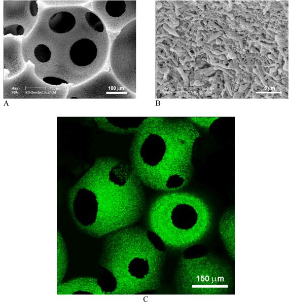 Fig. 12