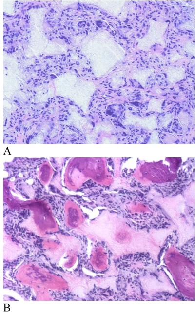 Fig. 16