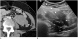 Fig. 10