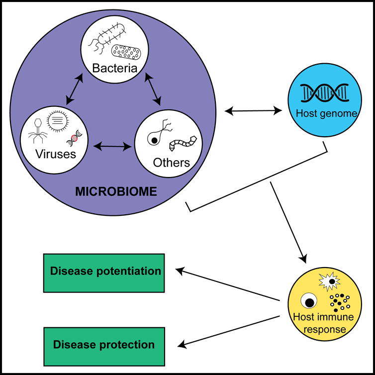 The Intestinal Virome and Immunity - PMC