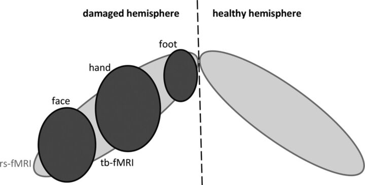 Fig 1.