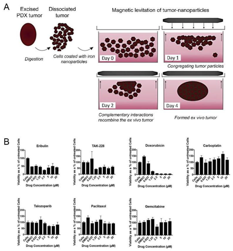 Figure 25