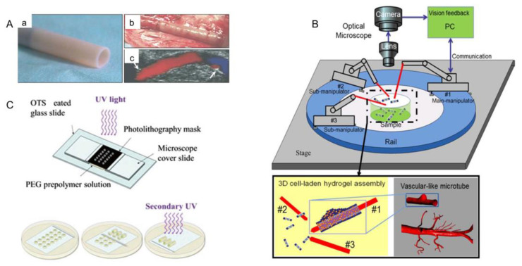 Figure 22