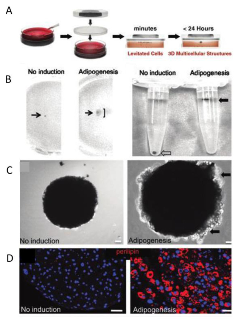 Figure 23