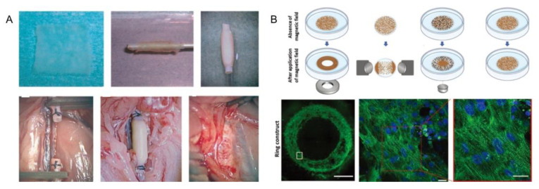 Figure 21