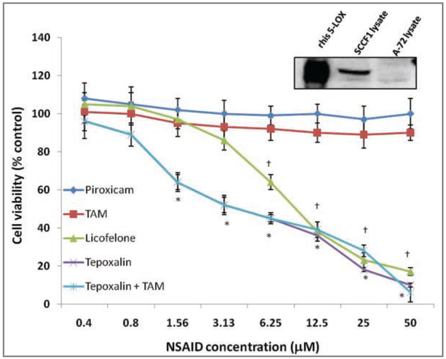 Figure 2—