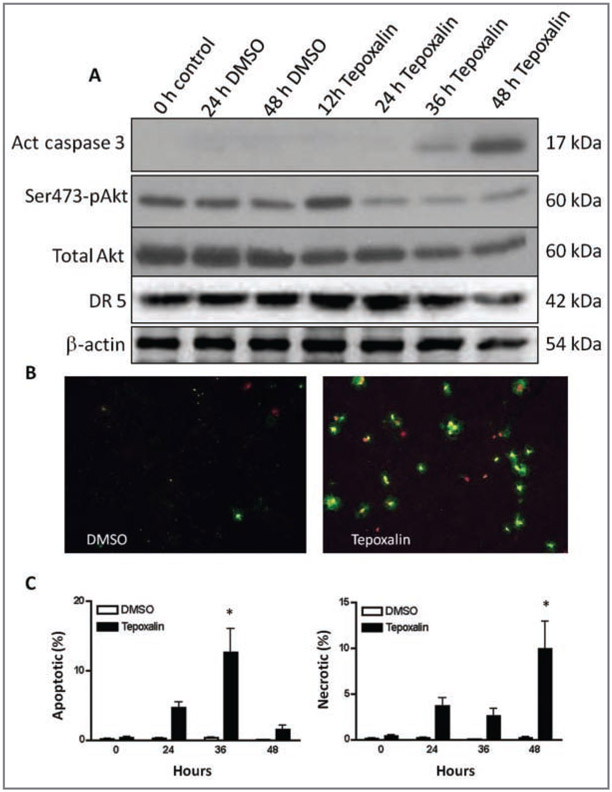 Figure 4—