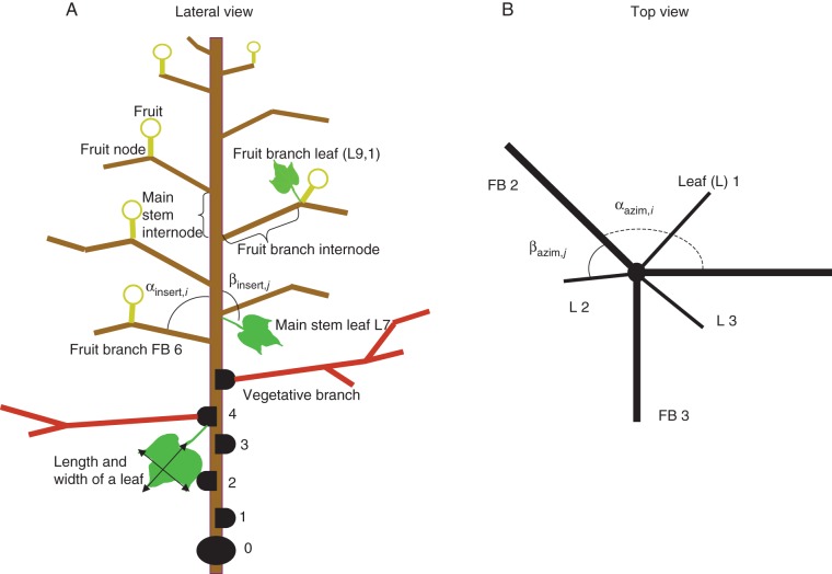 Fig. 1.