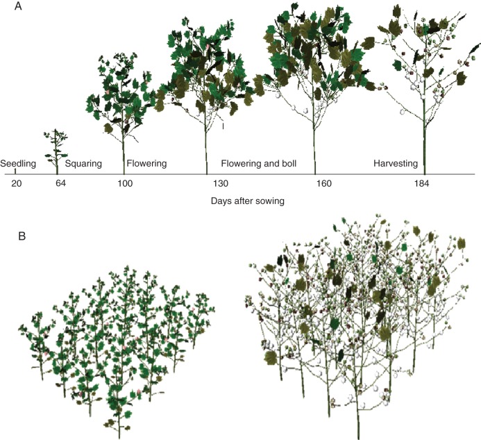 Fig. 7.