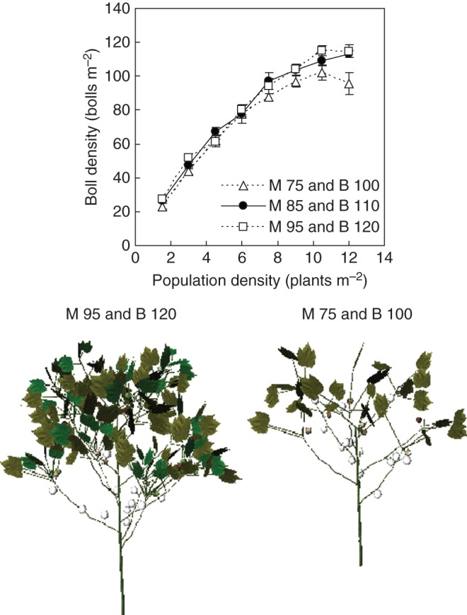 Fig. 11.