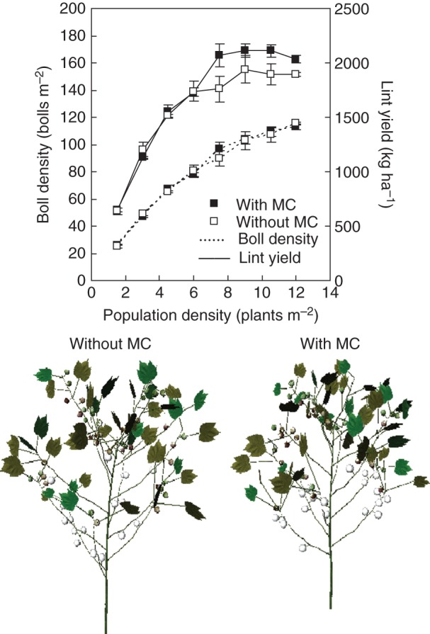 Fig. 10.