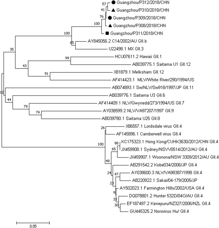 Fig. 2