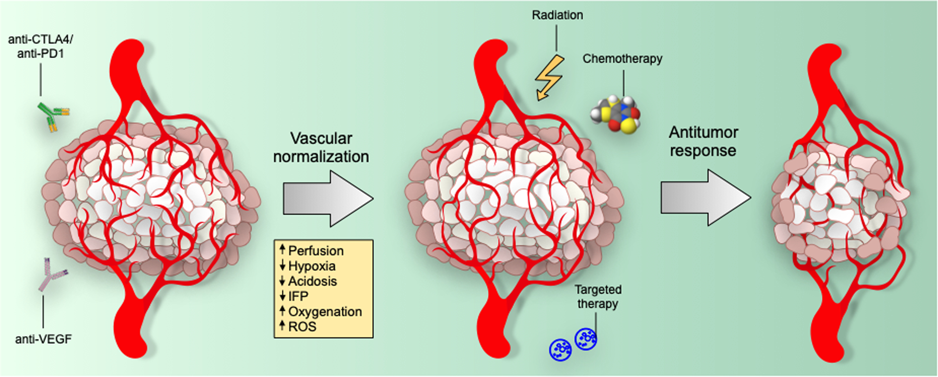 Figure 2: