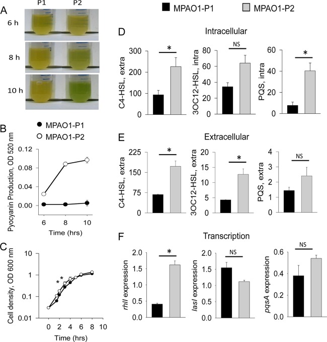 FIG 1