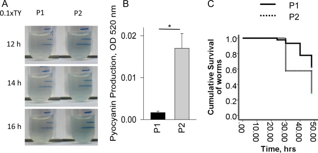 FIG 2