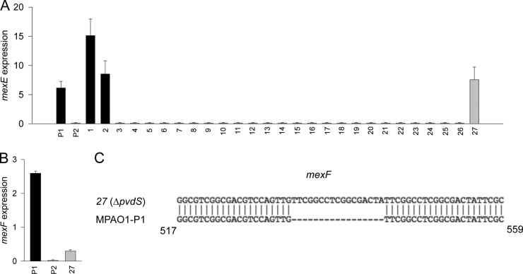 FIG 6