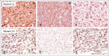 Fig 3.
