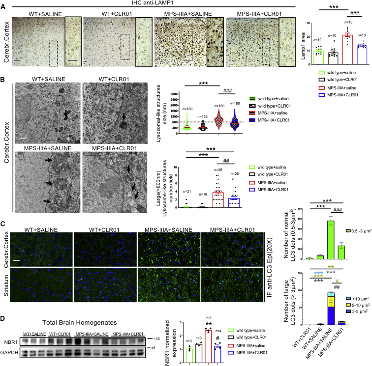 Figure 3