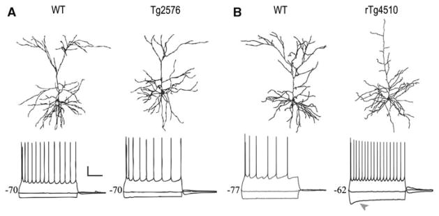 Fig. 5