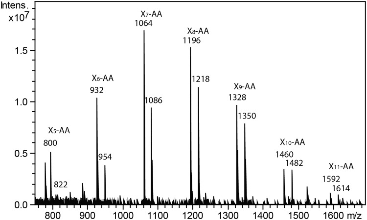 Fig 6