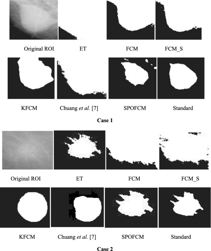 Fig. 9