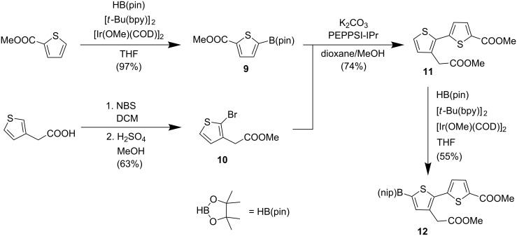 Scheme 2