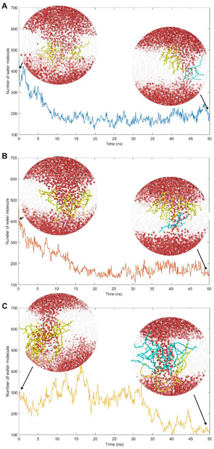 Figure 6.