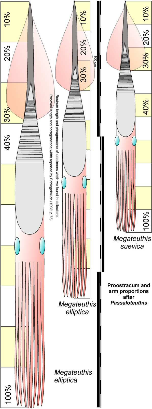Fig. 10