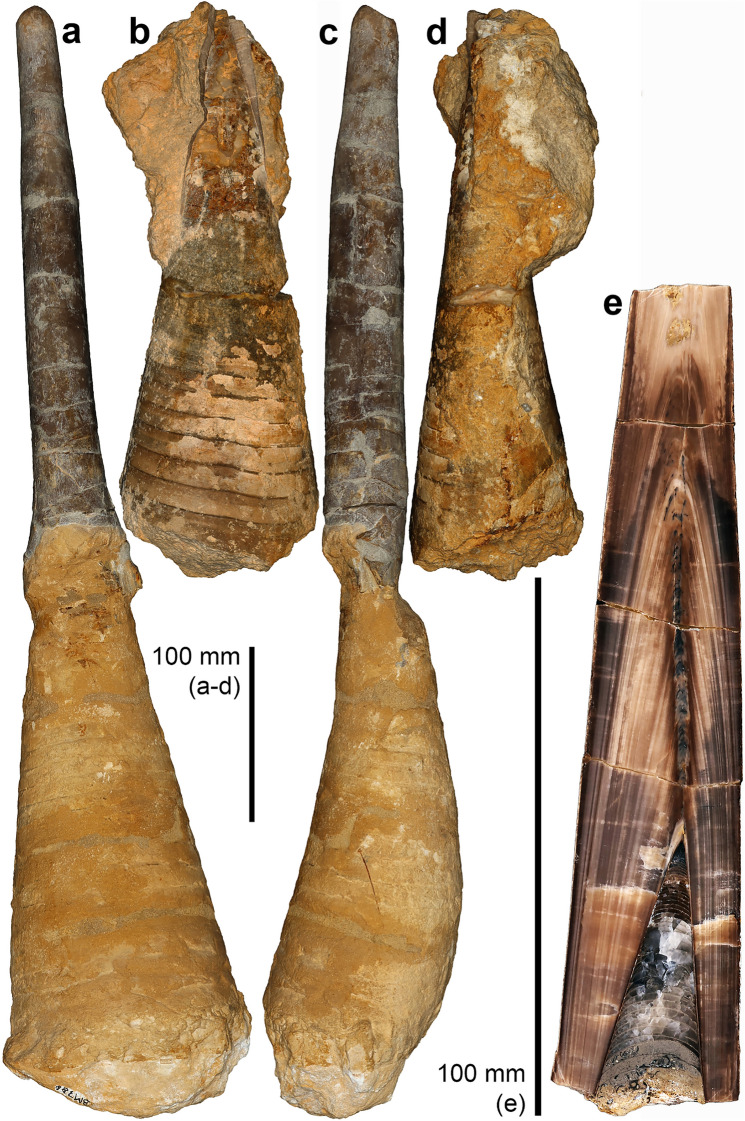 Fig. 3