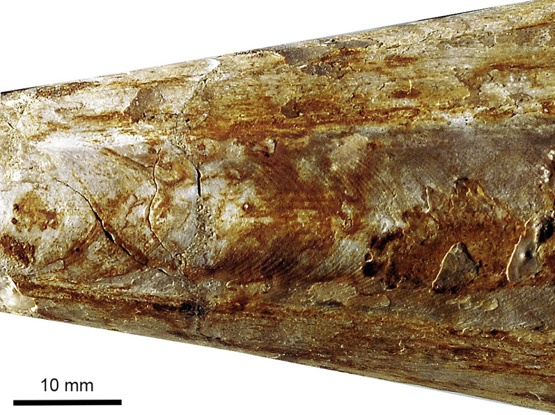 Fig. 9