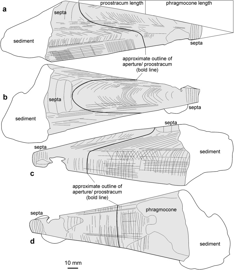 Fig. 8