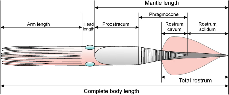 Fig. 4