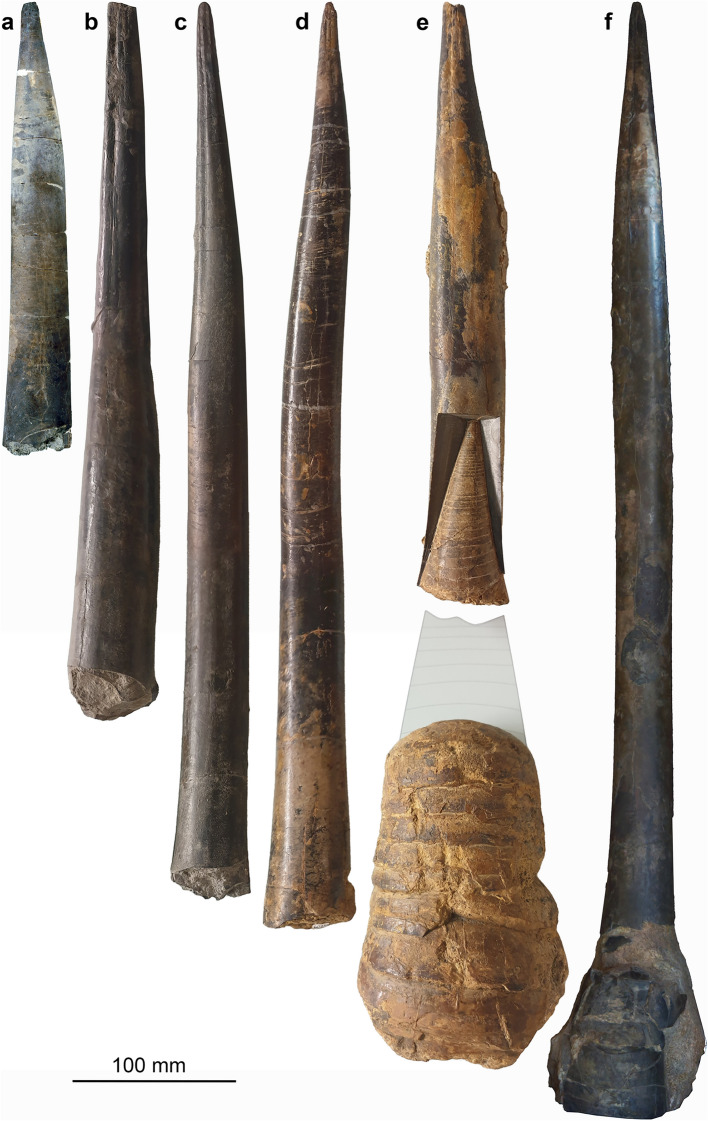 Fig. 2