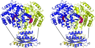 FIG. 1.