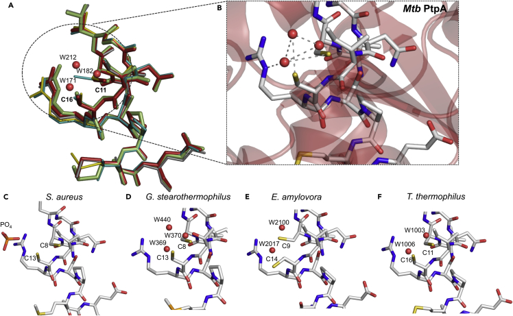 Figure 4