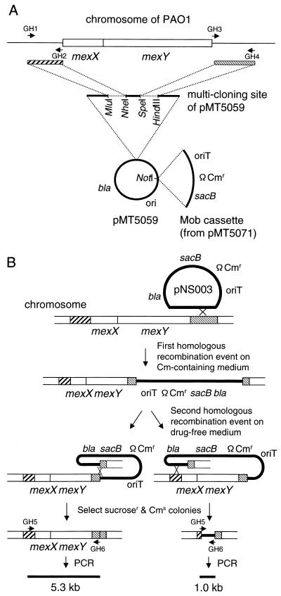 FIG. 1