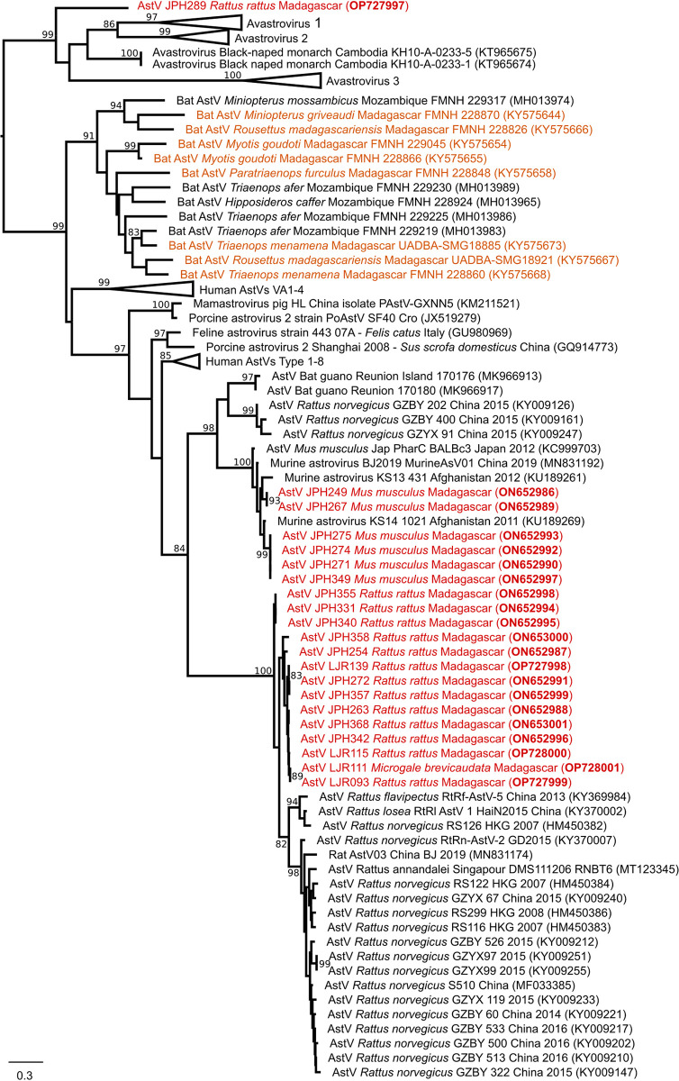 Fig 4