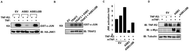 FIG. 8.