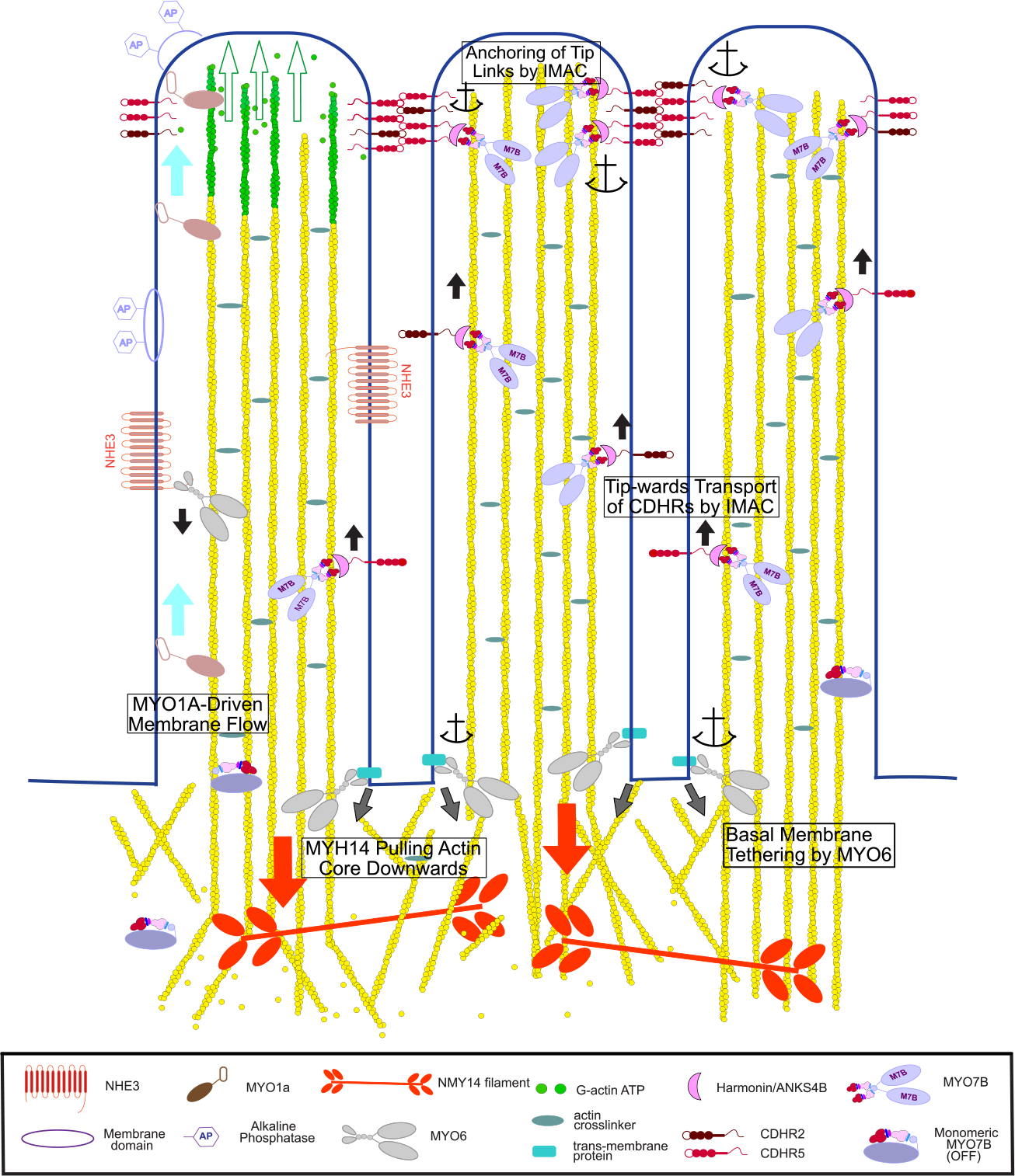 Figure 4.