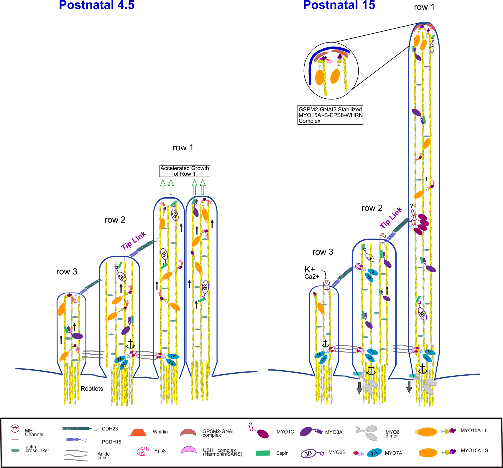 Figure 5.