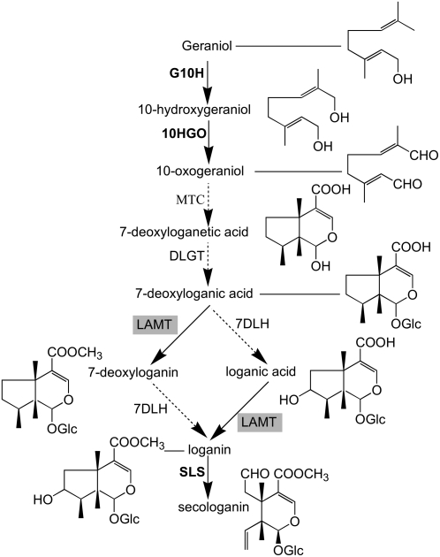 Figure 2.