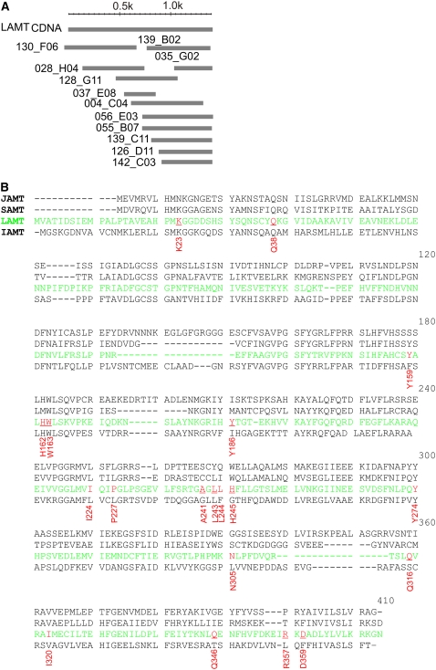 Figure 3.