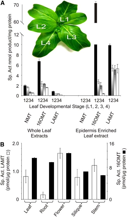 Figure 6.