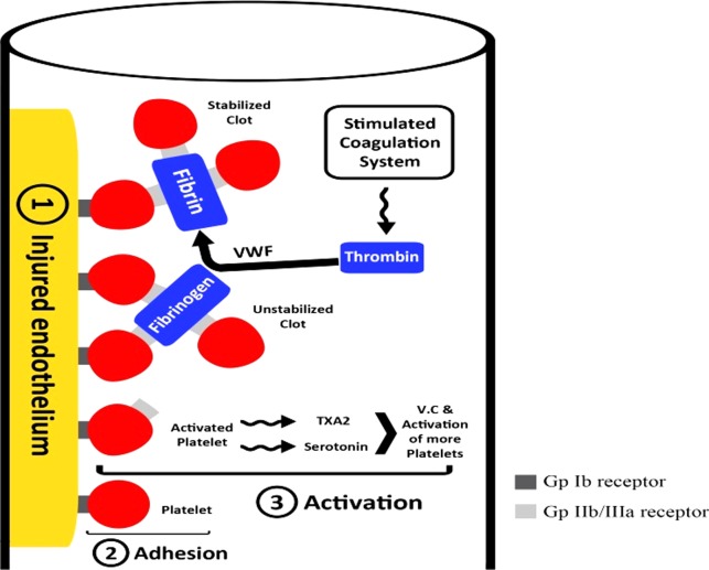 Figure 2.